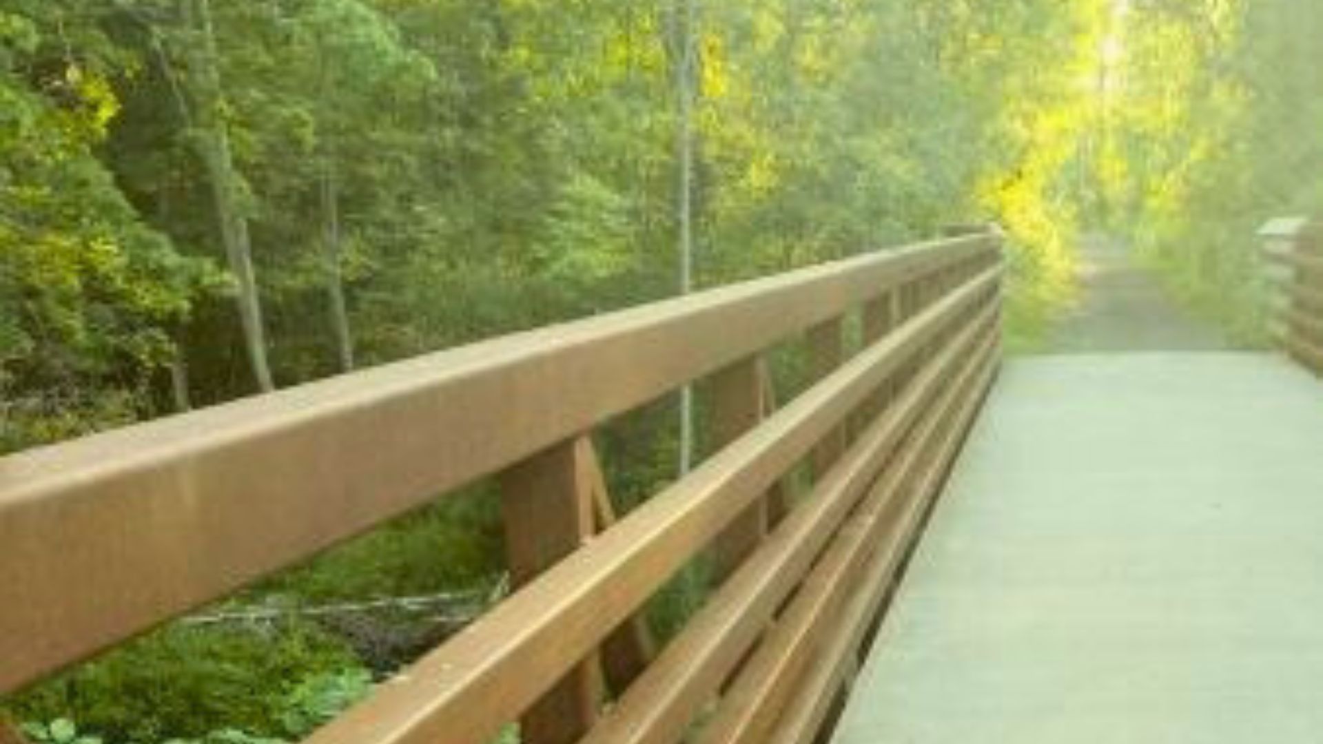 Pathway bridge with wood railings surrounded by trees