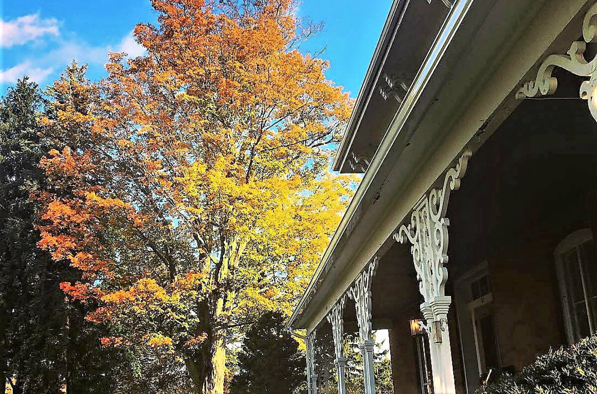 Orange and yellow Fall tree and white, ornate detail on a brick house