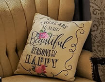 Picture of a pillow on a couch. Text at the bottom says Amenities.